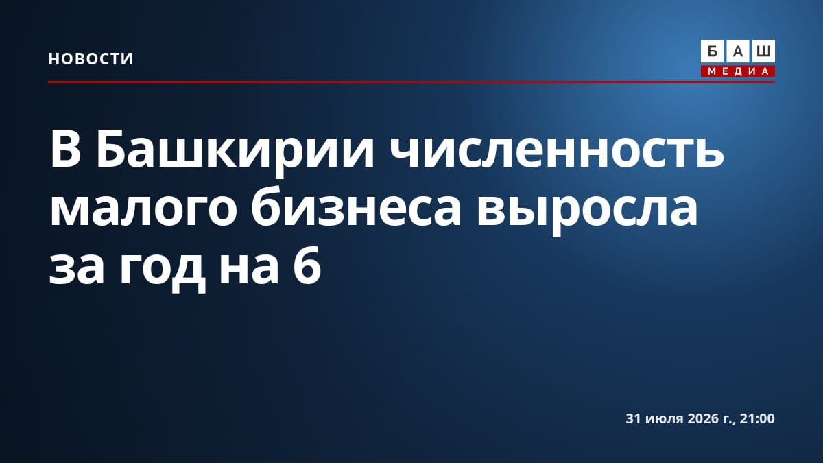 В Башкирии численность малого бизнеса выросла за год на 6