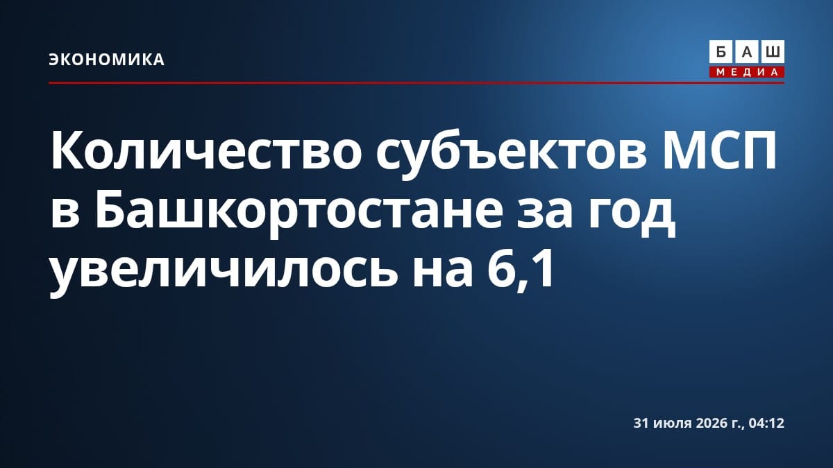 Количество субъектов МСП в Башкортостане за год увеличилось на 6,1%