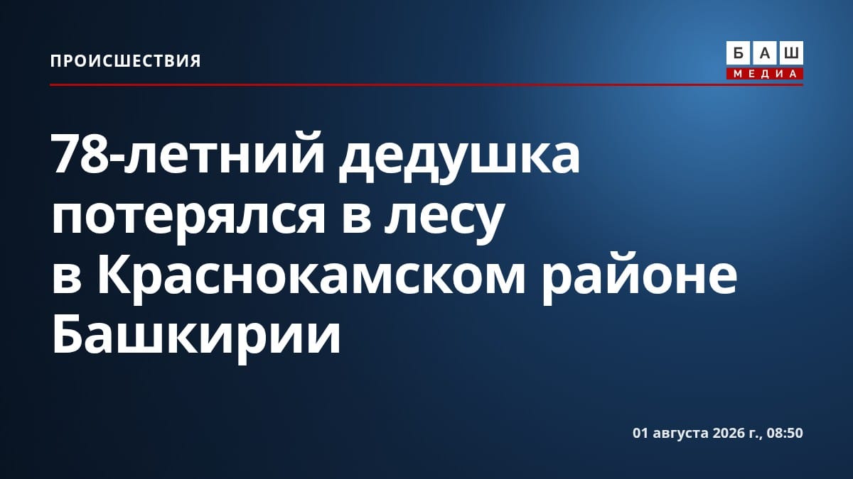 78-летний дедушка потерялся в лесу в Краснокамском районе Башкирии