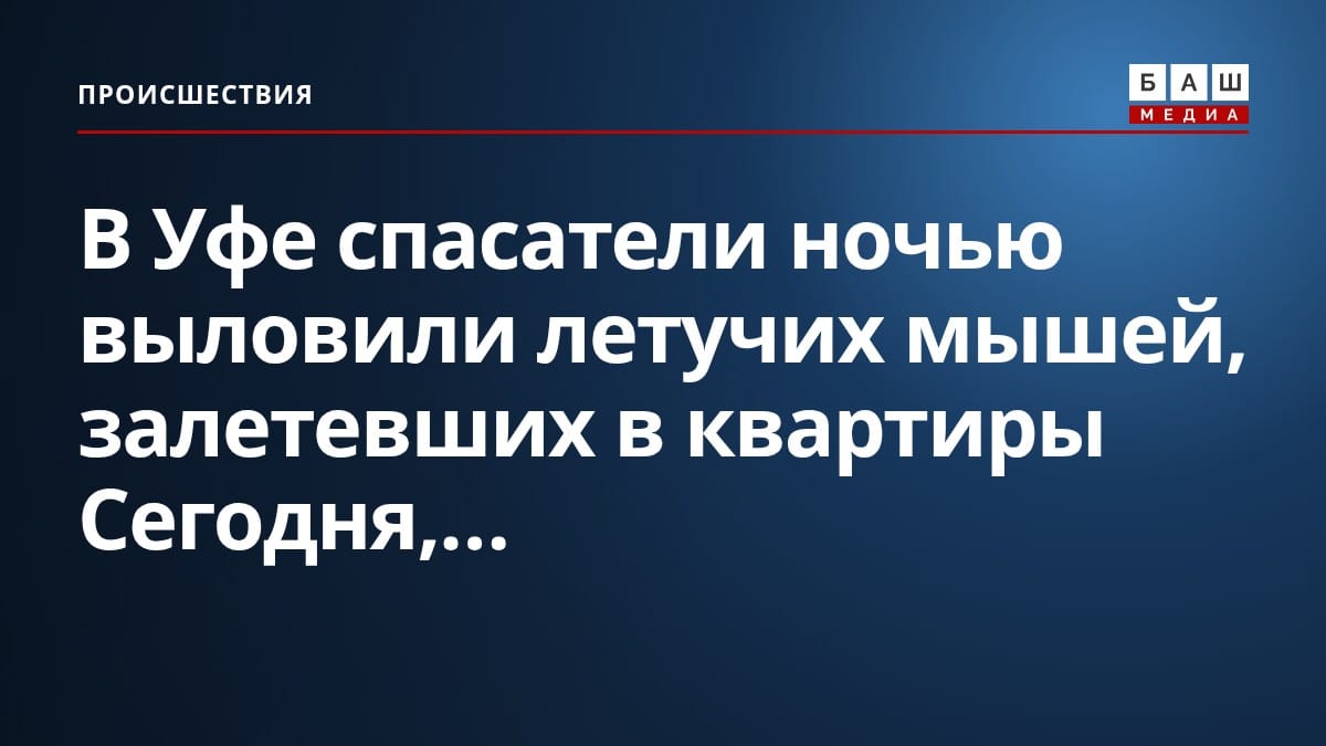 В Уфе спасатели ночью выловили летучих мышей, залетевших в квартиры Сегодня,...