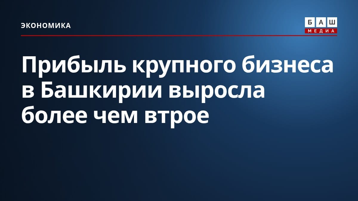 Прибыль крупного бизнеса в Башкирии выросла более чем втрое