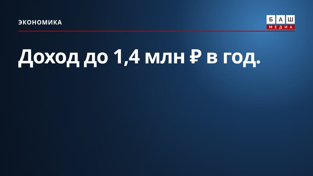 Доход до 1,4 млн ₽ в год.