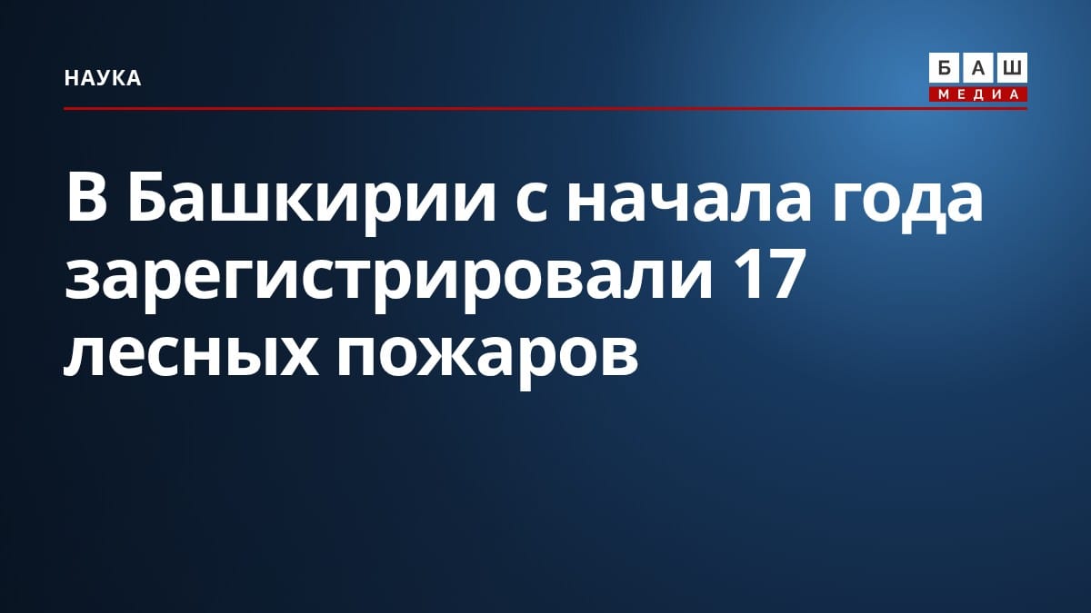 В Башкирии с начала года зарегистрировали 17 лесных пожаров