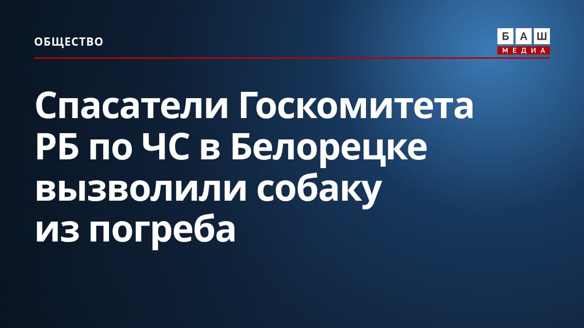 Спасатели Госкомитета РБ по ЧС в Белорецке вызволили собаку из погреба