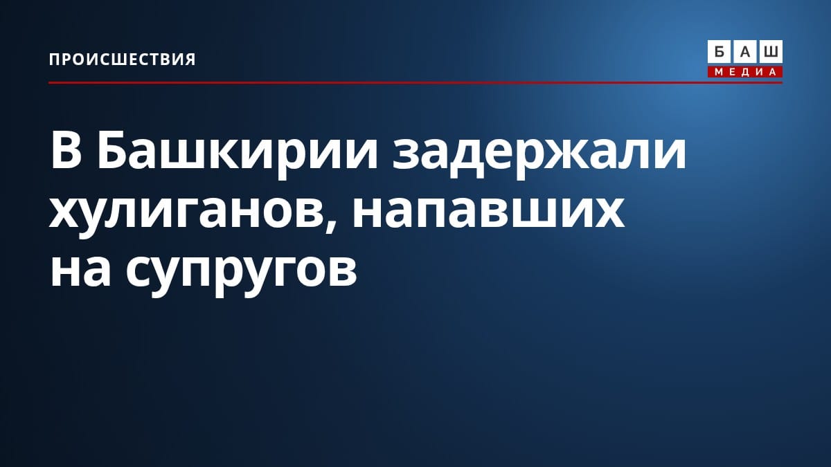 В Башкирии задержали хулиганов, напавших на супругов