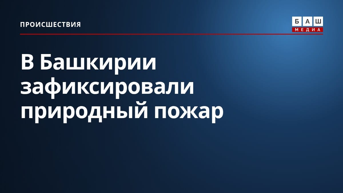 В Башкирии зафиксировали природный пожар