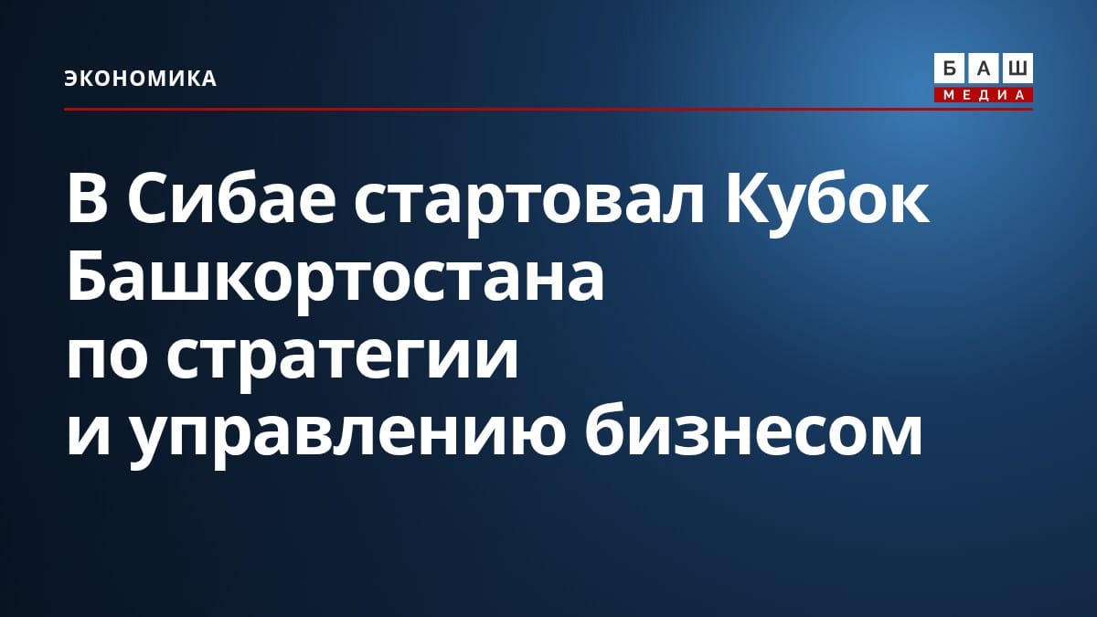 В Сибае стартовал Кубок Башкортостана по стратегии и управлению бизнесом