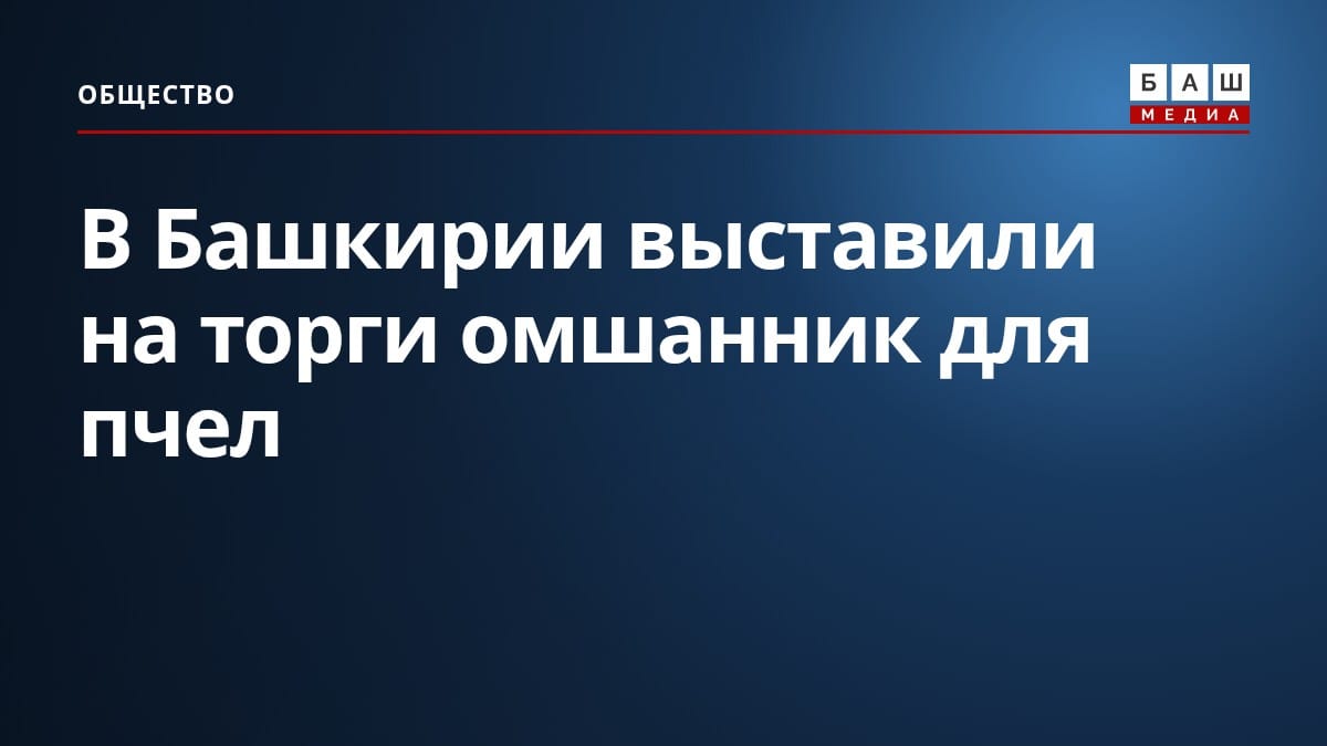 В Башкирии выставили на торги омшанник для пчел