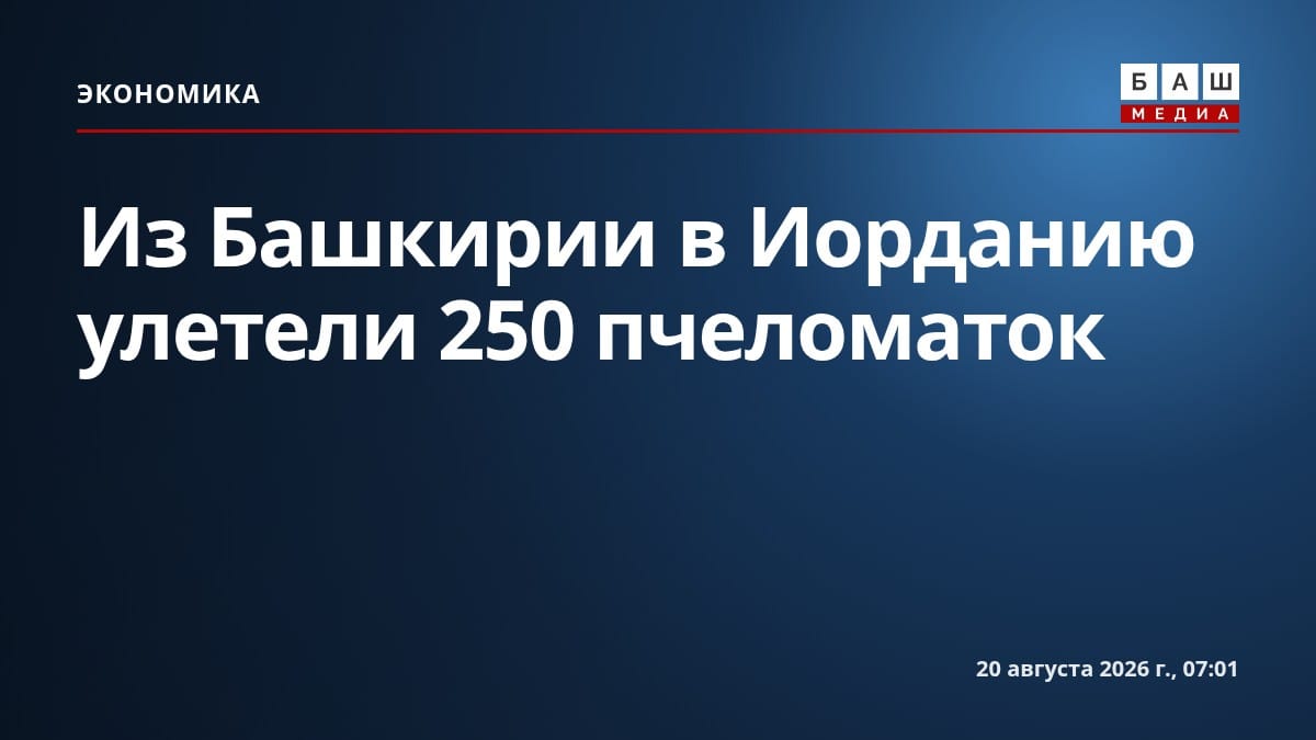 Из Башкирии в Иорданию улетели 250 пчеломаток