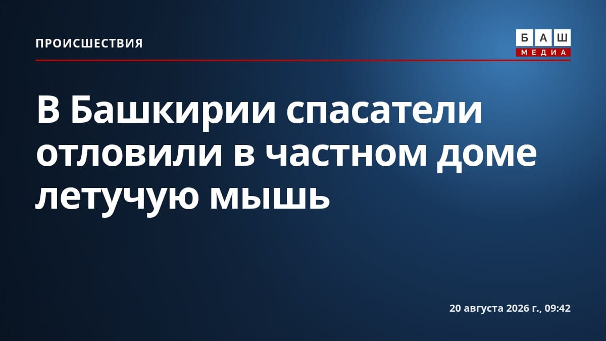 В Башкирии спасатели отловили в частном доме летучую мышь