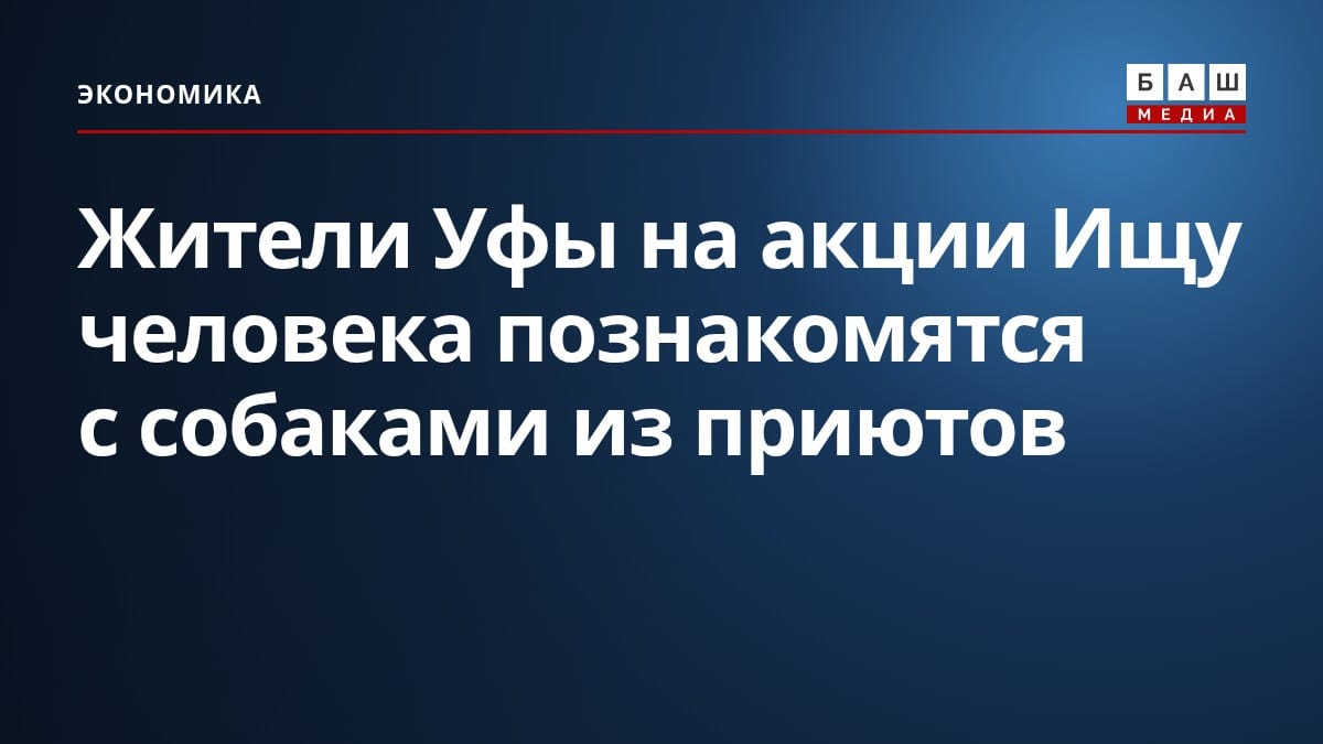 Жители Уфы на акции Ищу человека познакомятся с собаками из приютов