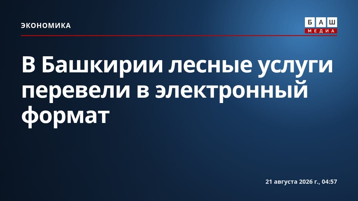 В Башкирии лесные услуги перевели в электронный формат