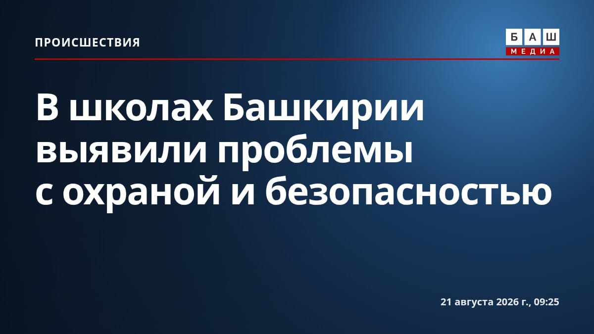 В школах Башкирии выявили проблемы с охраной и безопасностью