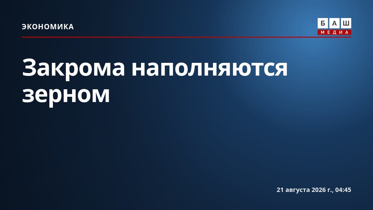 Закрома наполняются зерном