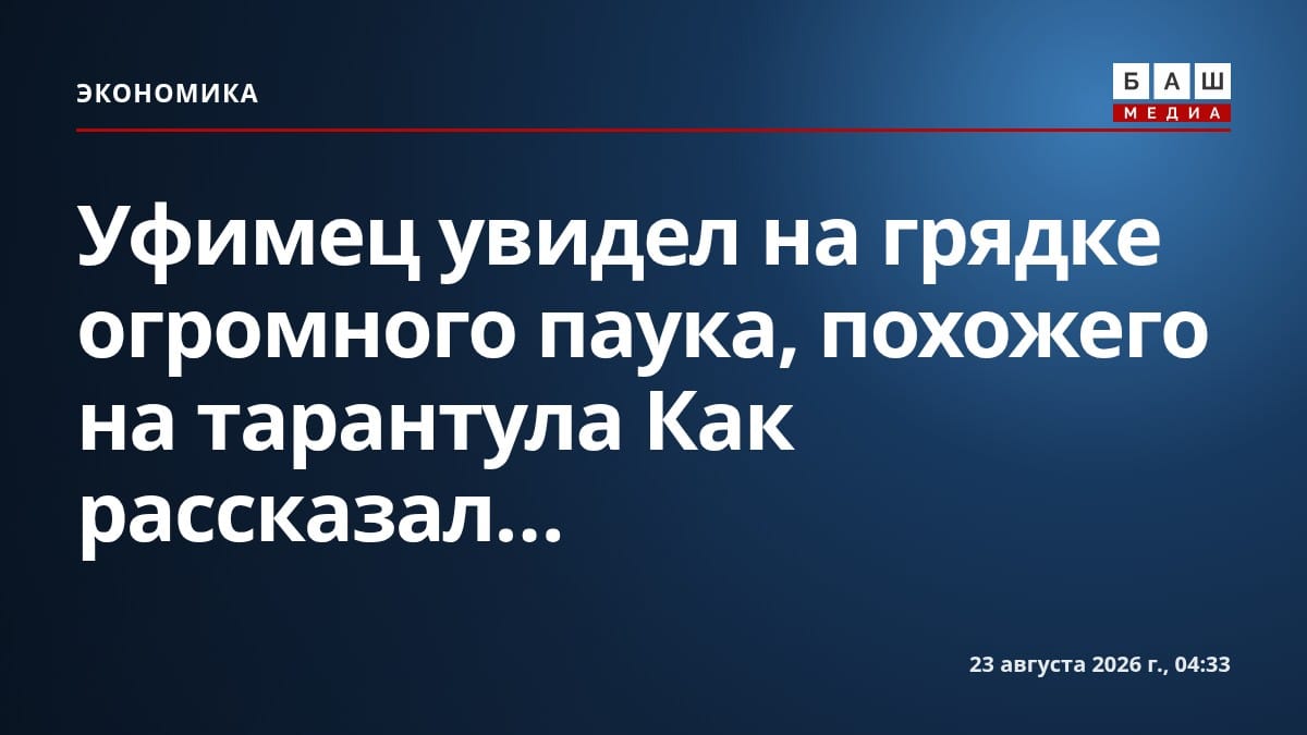 Уфимец увидел на грядке огромного паука, похожего на тарантула Как рассказал...