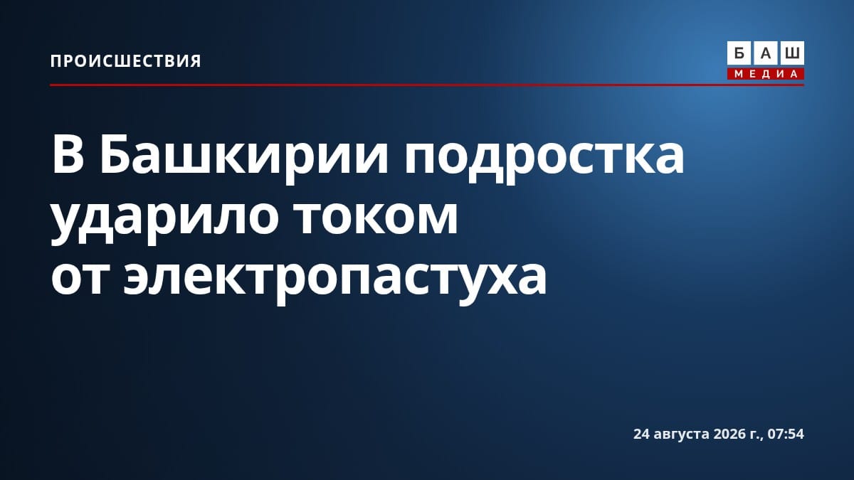В Башкирии подростка ударило током от электропастуха