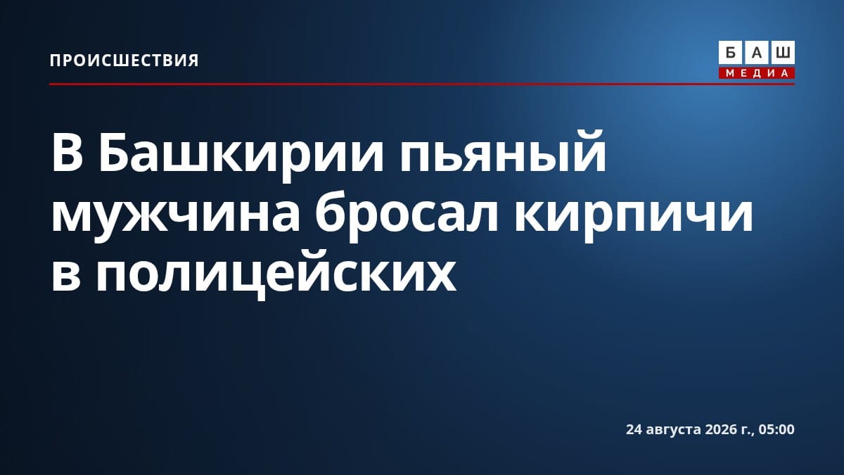 В Башкирии пьяный мужчина бросал кирпичи в полицейских
