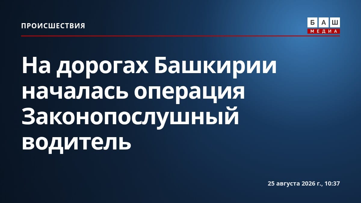 На дорогах Башкирии началась операция Законопослушный водитель