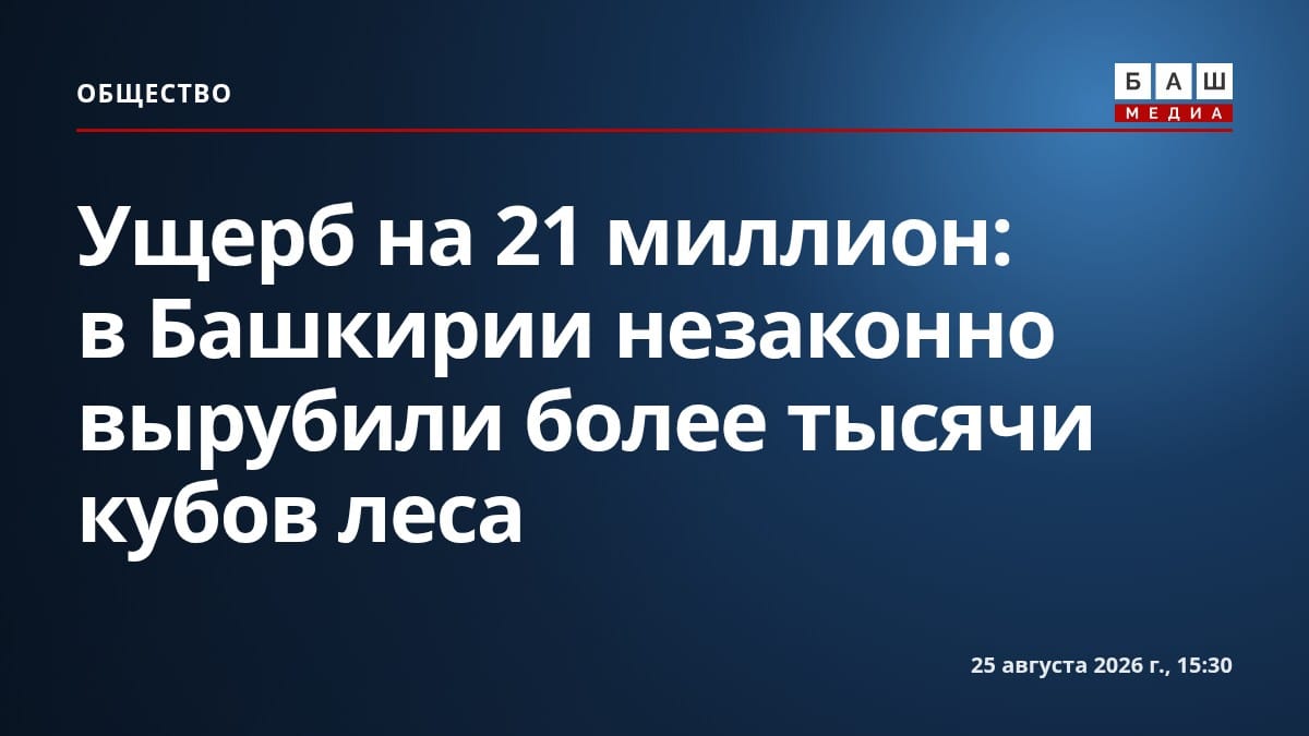 Ущерб на 21 миллион: в Башкирии незаконно вырубили более тысячи кубов леса