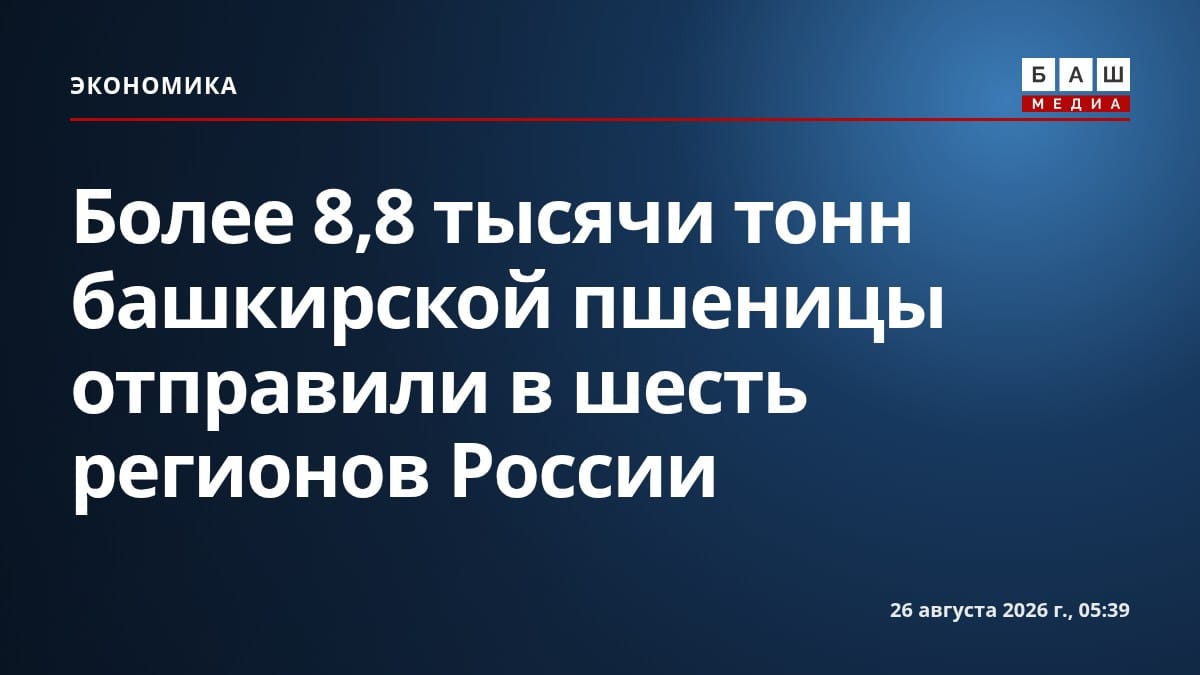 Более 8,8 тысячи тонн башкирской пшеницы отправили в шесть регионов России