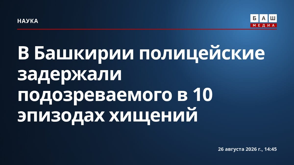 В Башкирии полицейские задержали подозреваемого в 10 эпизодах хищений