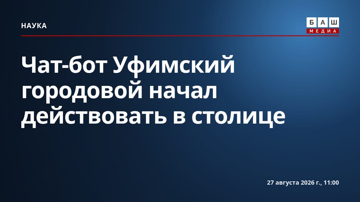 Чат-бот Уфимский городовой начал действовать в столице