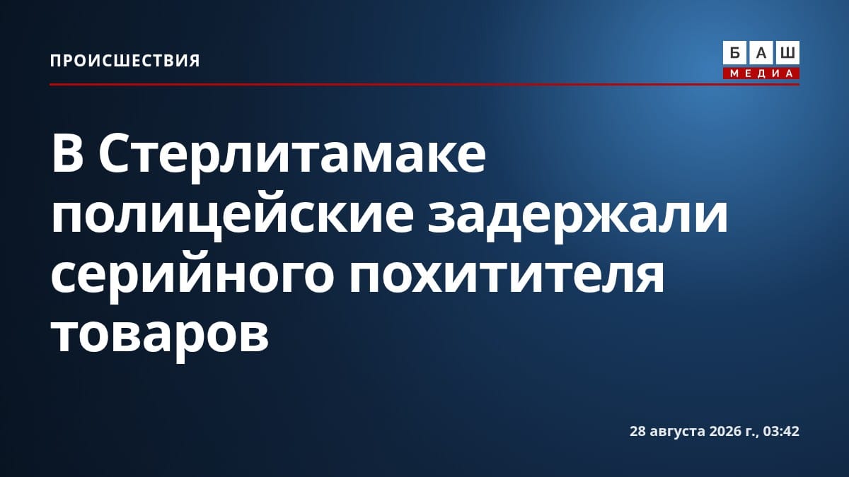В Стерлитамаке полицейские задержали серийного похитителя товаров