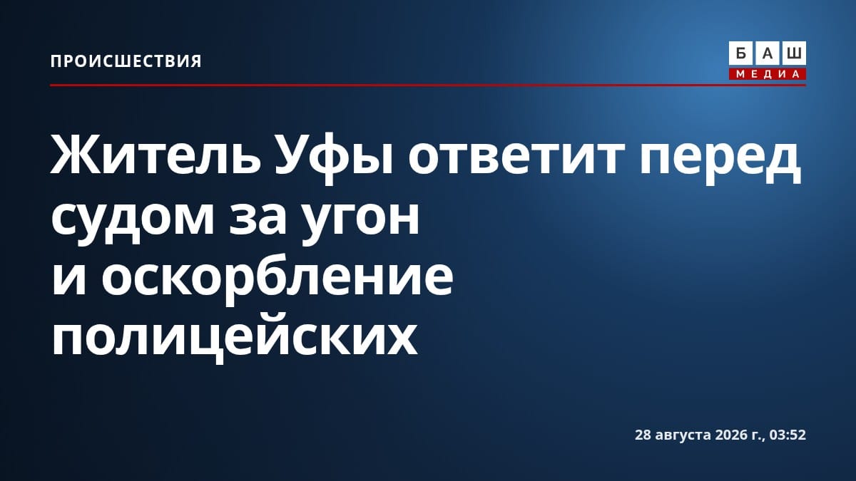 Житель Уфы ответит перед судом за угон и оскорбление полицейских
