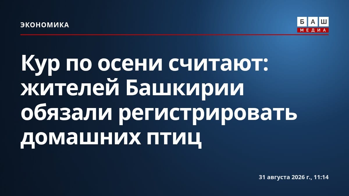 Кур по осени считают: жителей Башкирии обязали регистрировать домашних птиц