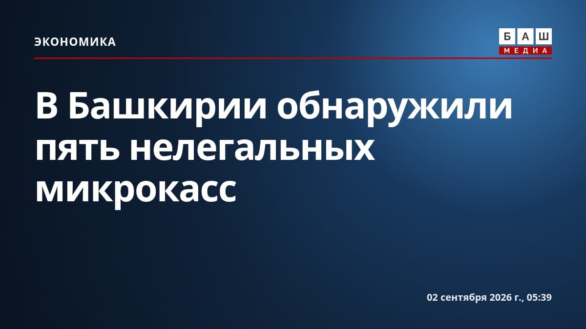 В Башкирии обнаружили пять нелегальных микрокасс