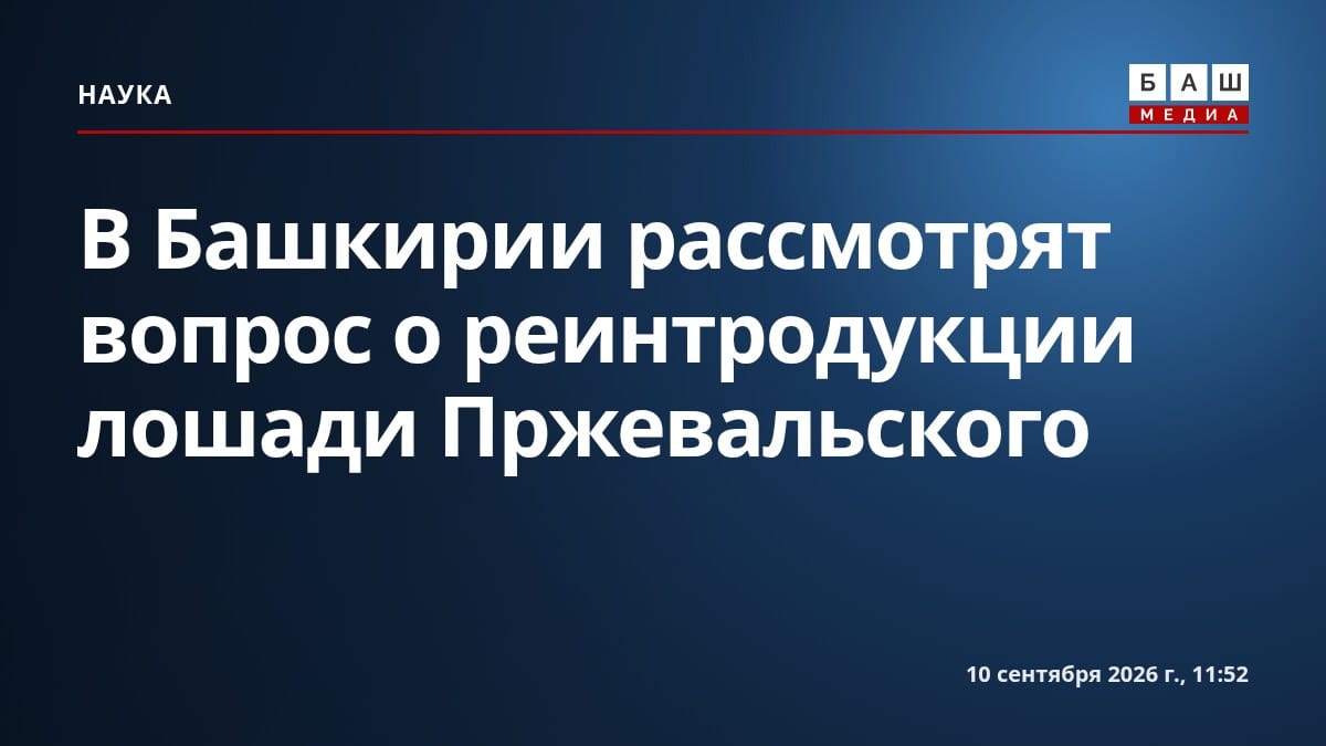 В Башкирии рассмотрят вопрос о реинтродукции лошади Пржевальского