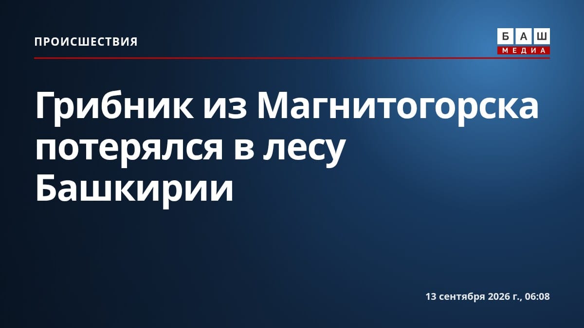 Грибник из Магнитогорска потерялся в лесу Башкирии