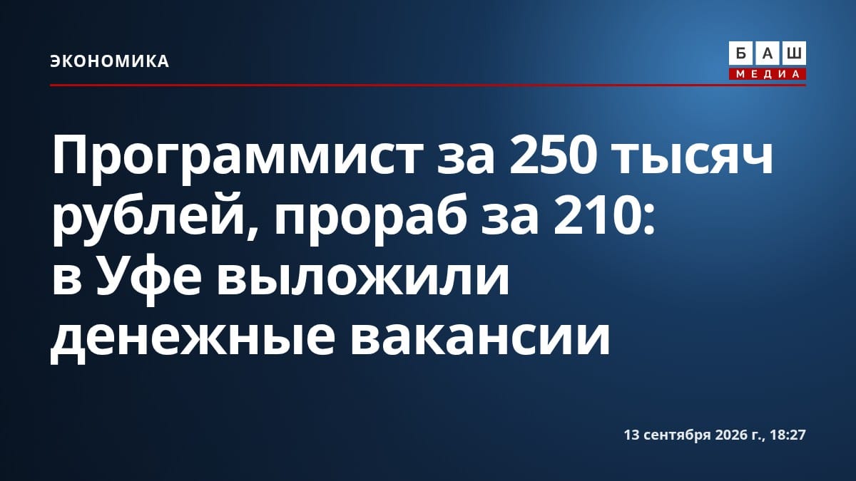 Программист за 250 тысяч рублей, прораб за 210: в Уфе выложили денежные вакансии