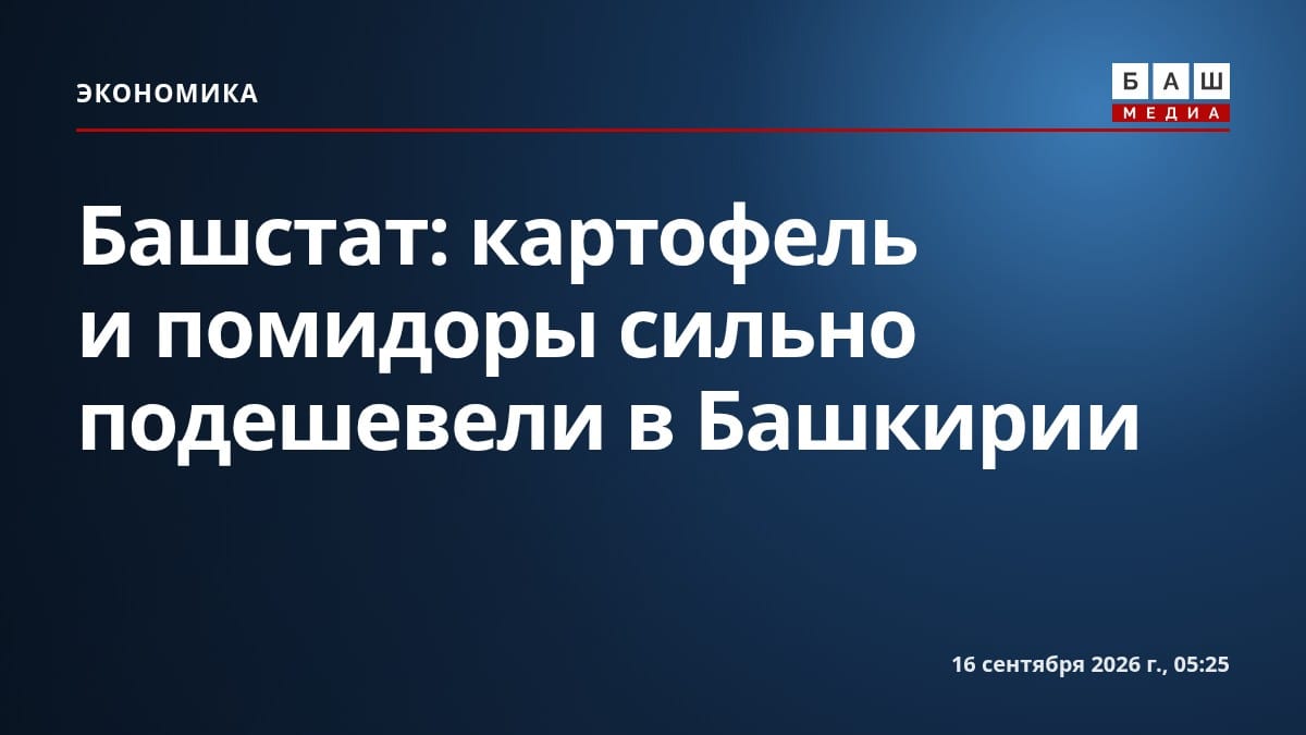 Башстат: картофель и помидоры сильно подешевели в Башкирии