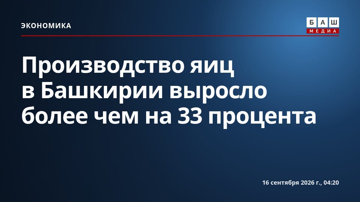 Производство яиц в Башкирии выросло более чем на 33 процента