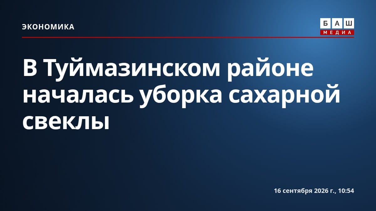 В Туймазинском районе началась уборка сахарной свеклы