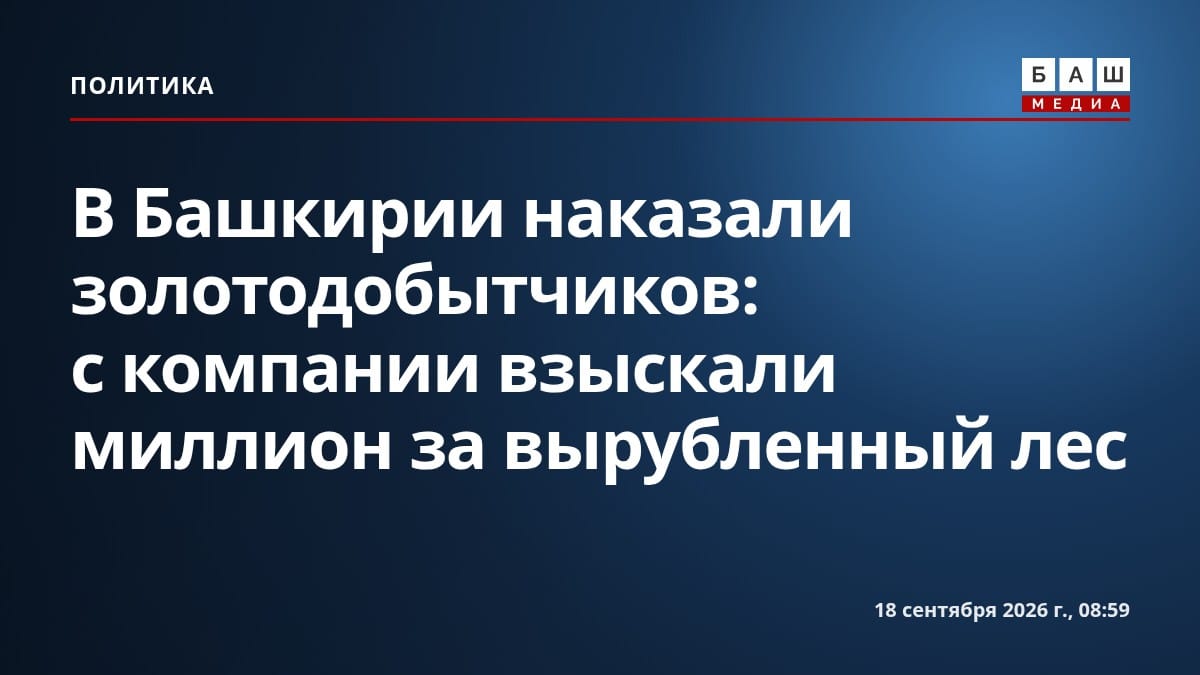 В Башкирии наказали золотодобытчиков: с компании взыскали миллион за вырубленный лес