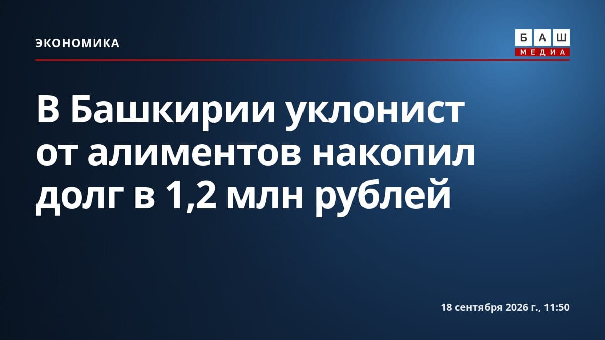 В Башкирии уклонист от алиментов накопил долг в 1,2 млн рублей