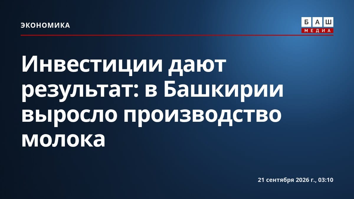 Инвестиции дают результат: в Башкирии выросло производство молока