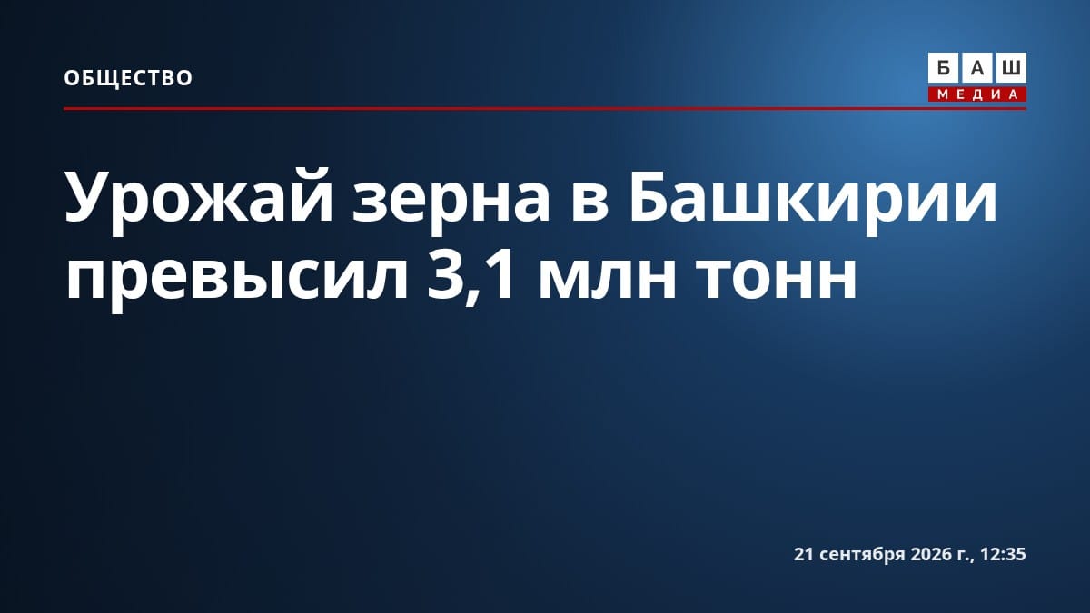 Урожай зерна в Башкирии превысил 3,1 млн тонн