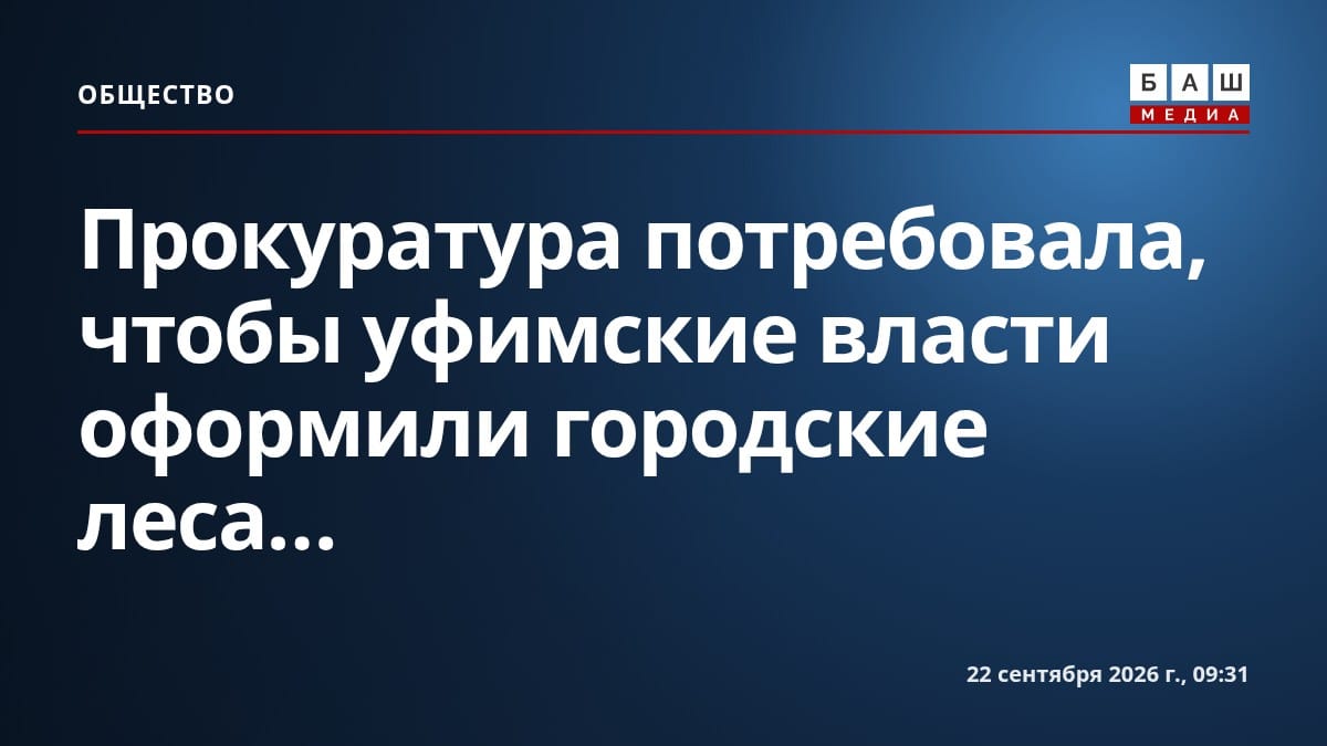 Прокуратура потребовала, чтобы уфимские власти оформили городские леса...
