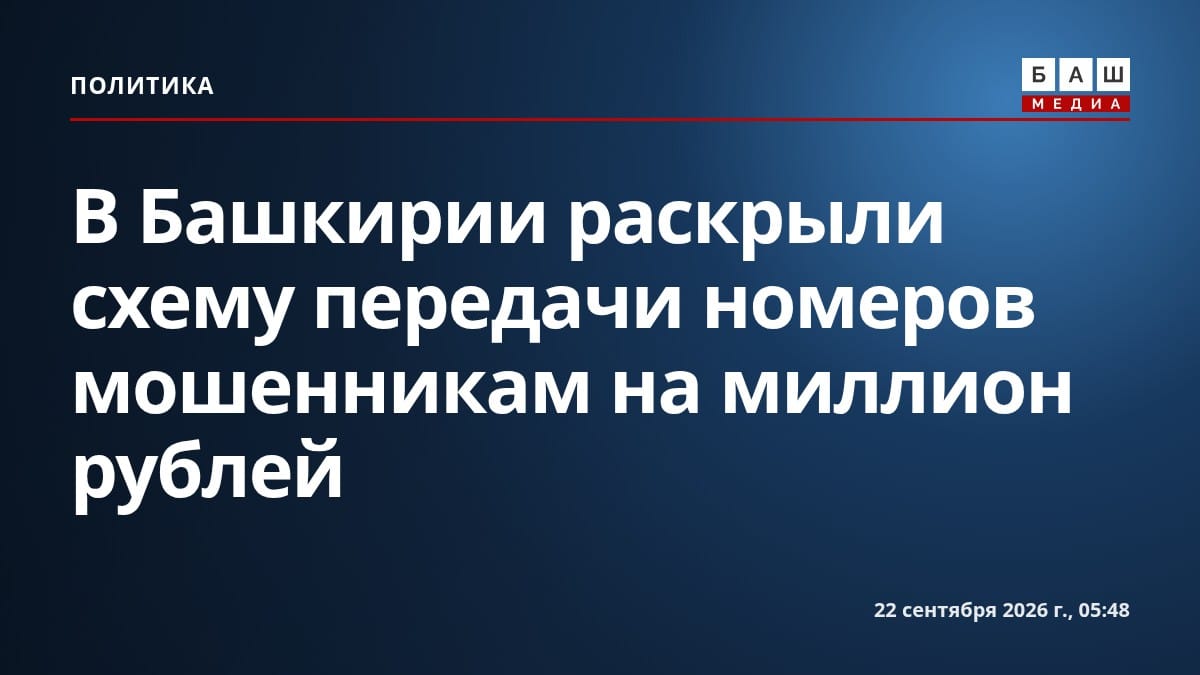 В Башкирии раскрыли схему передачи номеров мошенникам на миллион рублей