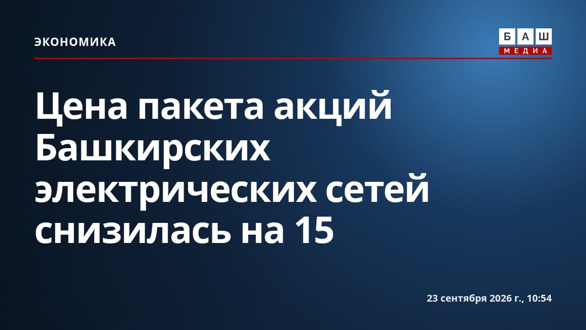 Цена пакета акций Башкирских электрических сетей снизилась на 15