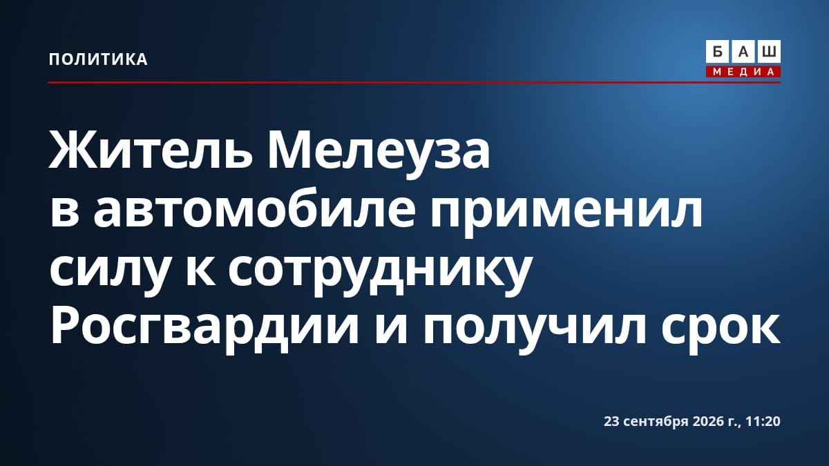 Житель Мелеуза в автомобиле применил силу к сотруднику Росгвардии и получил срок