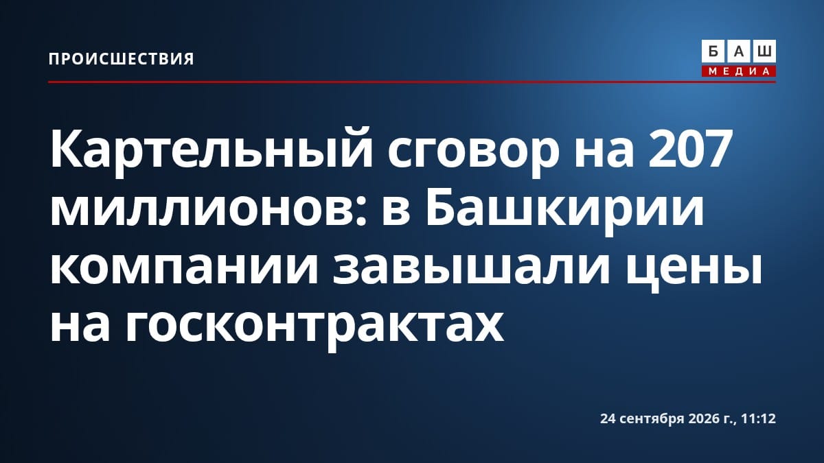 Картельный сговор на 207 миллионов: в Башкирии компании завышали цены на госконтрактах