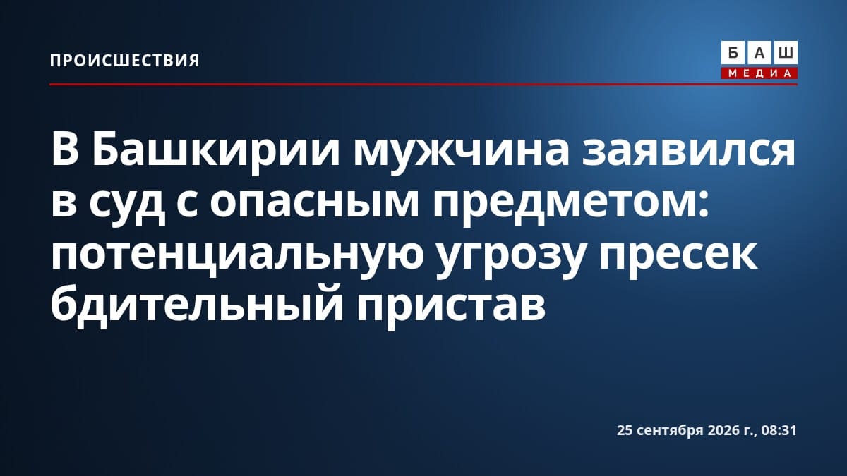 В Башкирии мужчина заявился в суд с опасным предметом: потенциальную угрозу пресек бдительный пристав