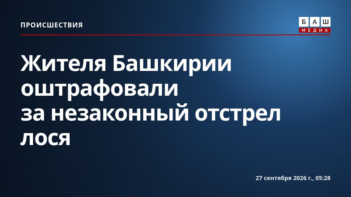Жителя Башкирии оштрафовали за незаконный отстрел лося