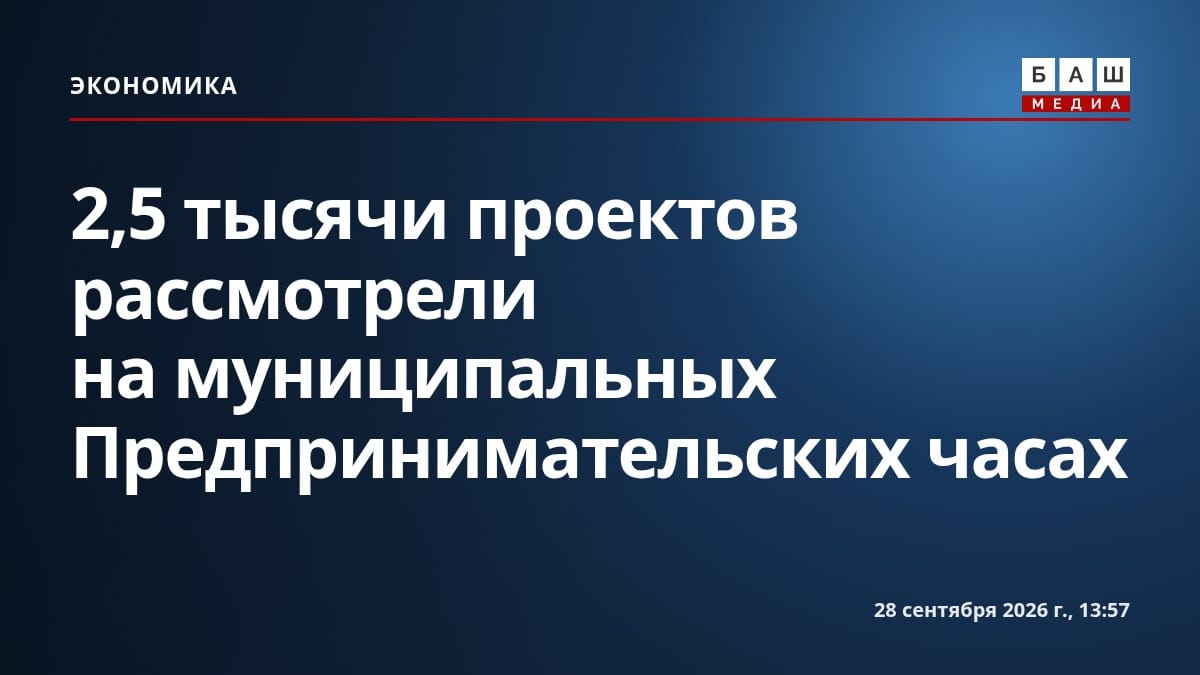2,5 тысячи проектов рассмотрели на муниципальных Предпринимательских часах