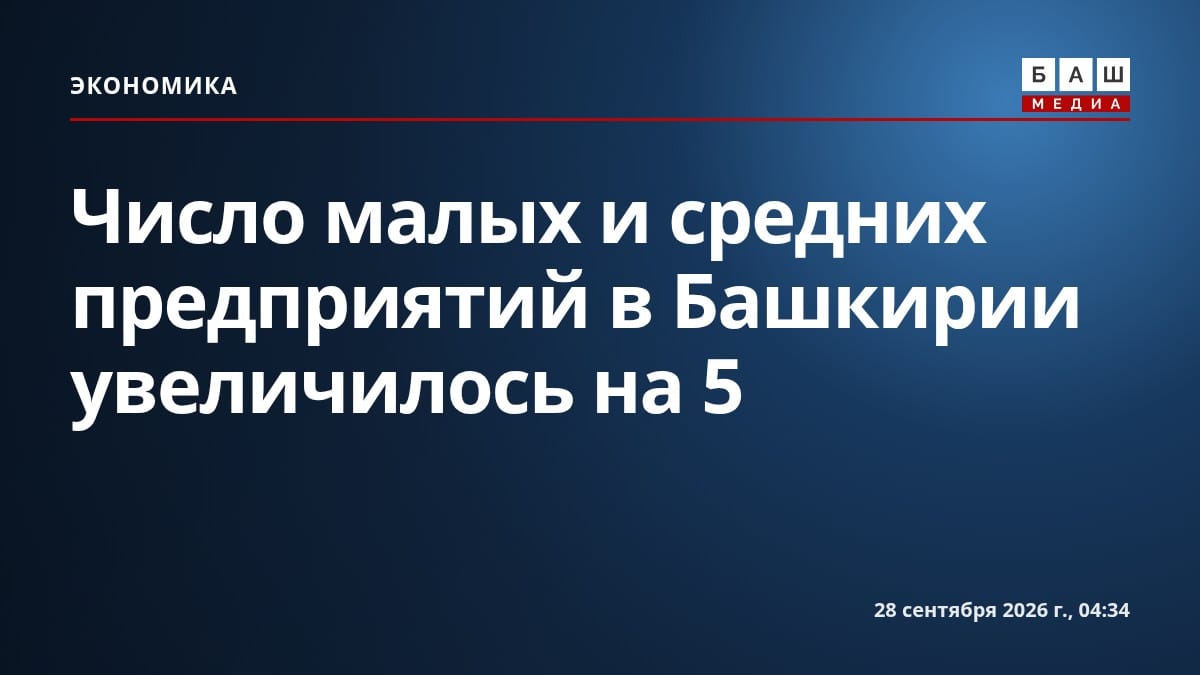 Число малых и средних предприятий в Башкирии увеличилось на 5
