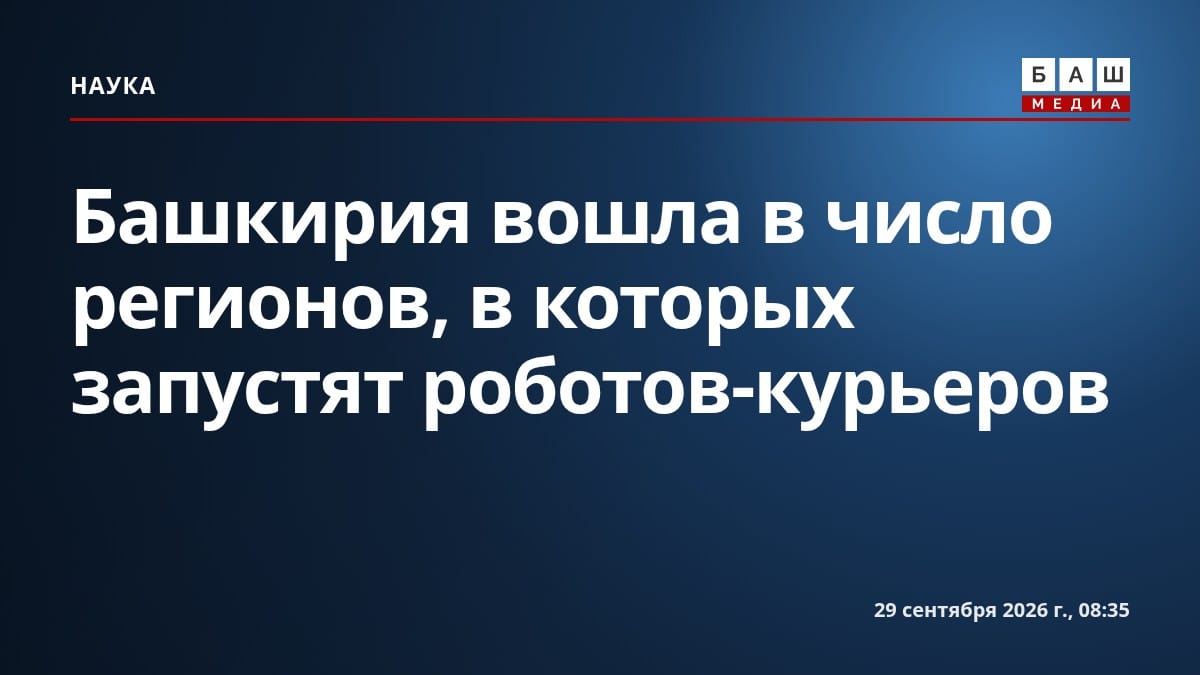 Башкирия вошла в число регионов, в которых запустят роботов-курьеров